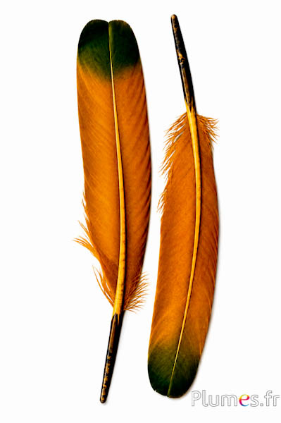 Schwan Seide - 25-30 cm - aztekengold-olive